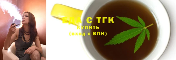 индика Богородицк